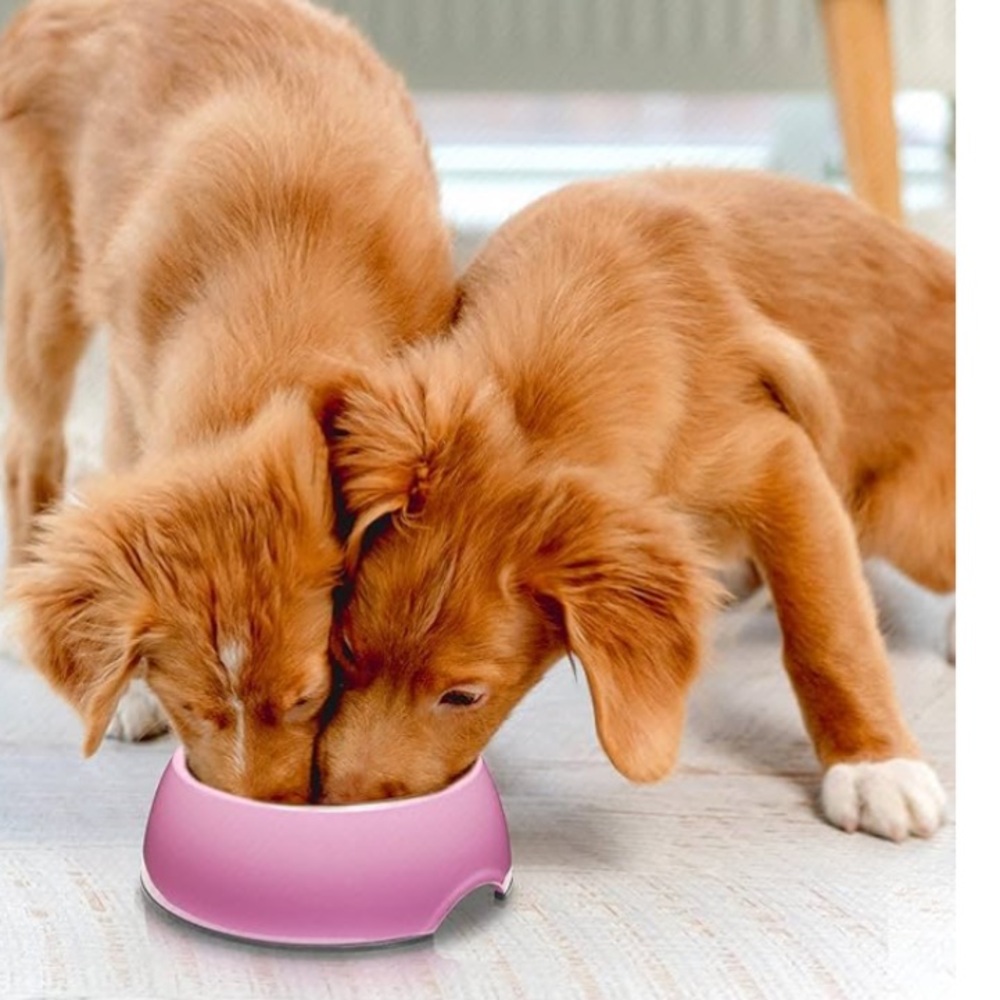 2- Pink  Go Slow Anti Gulping Dog /Cat Feeding Bowls